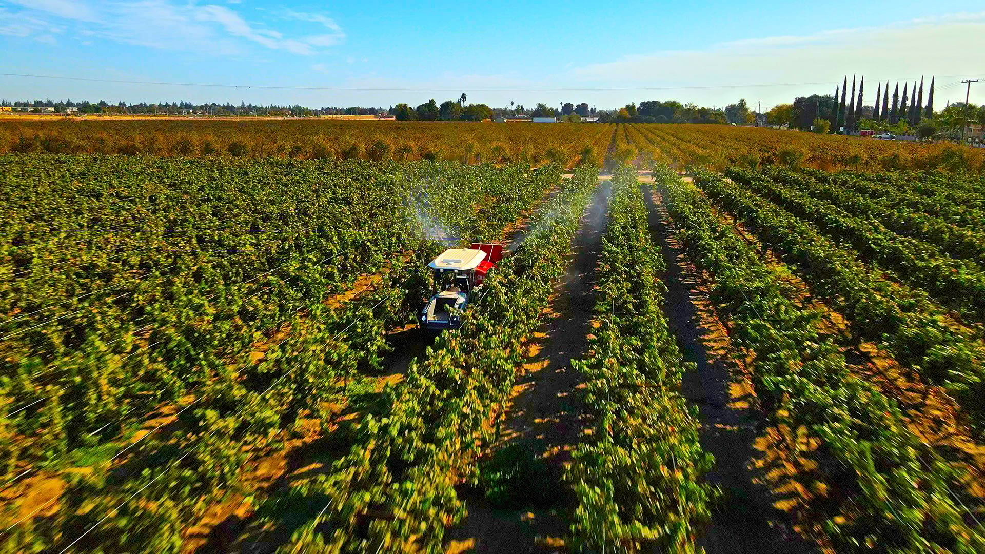 Lodi-Spray