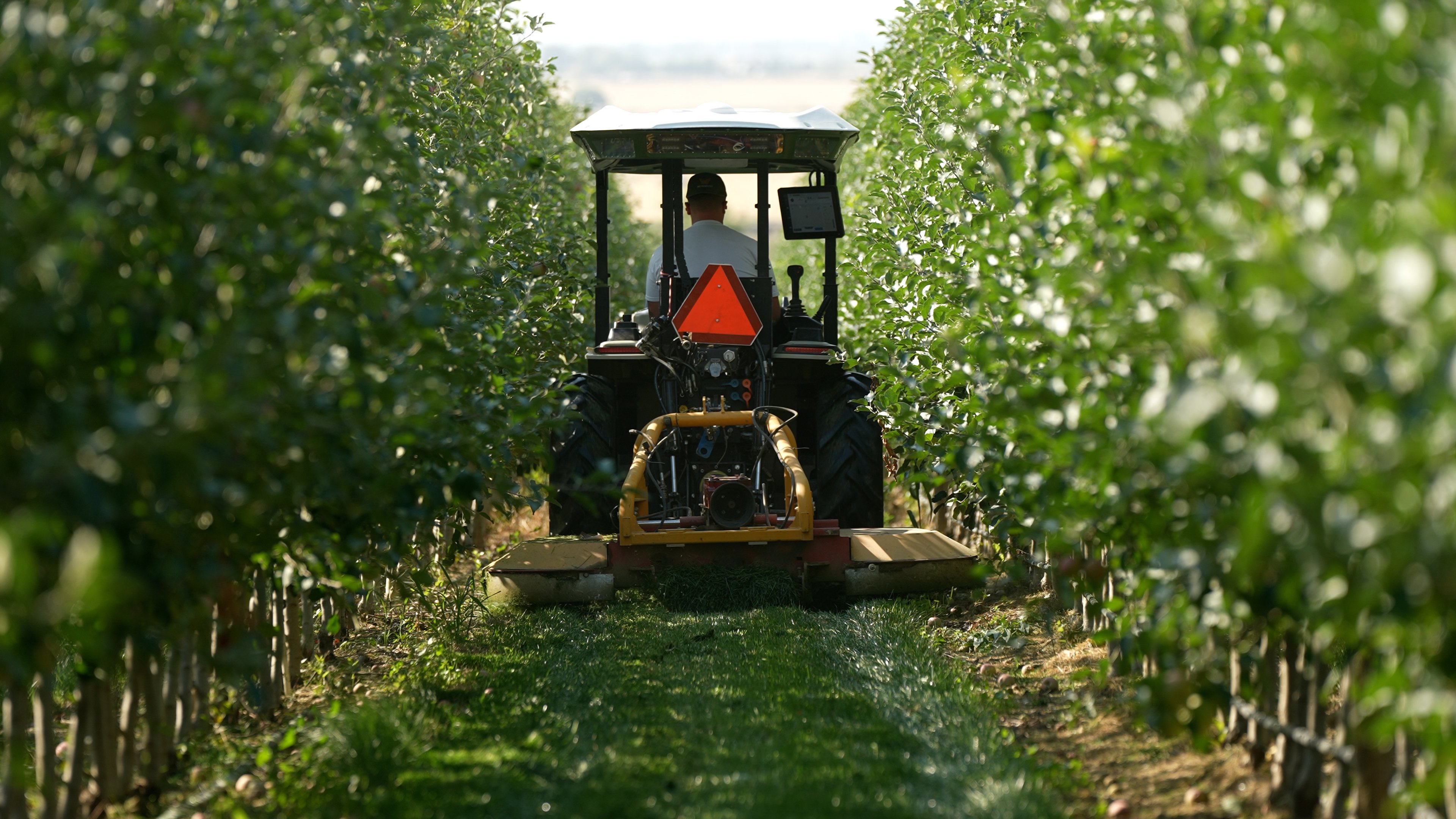 MT_Aug22_R&D-Apples-Photos-15