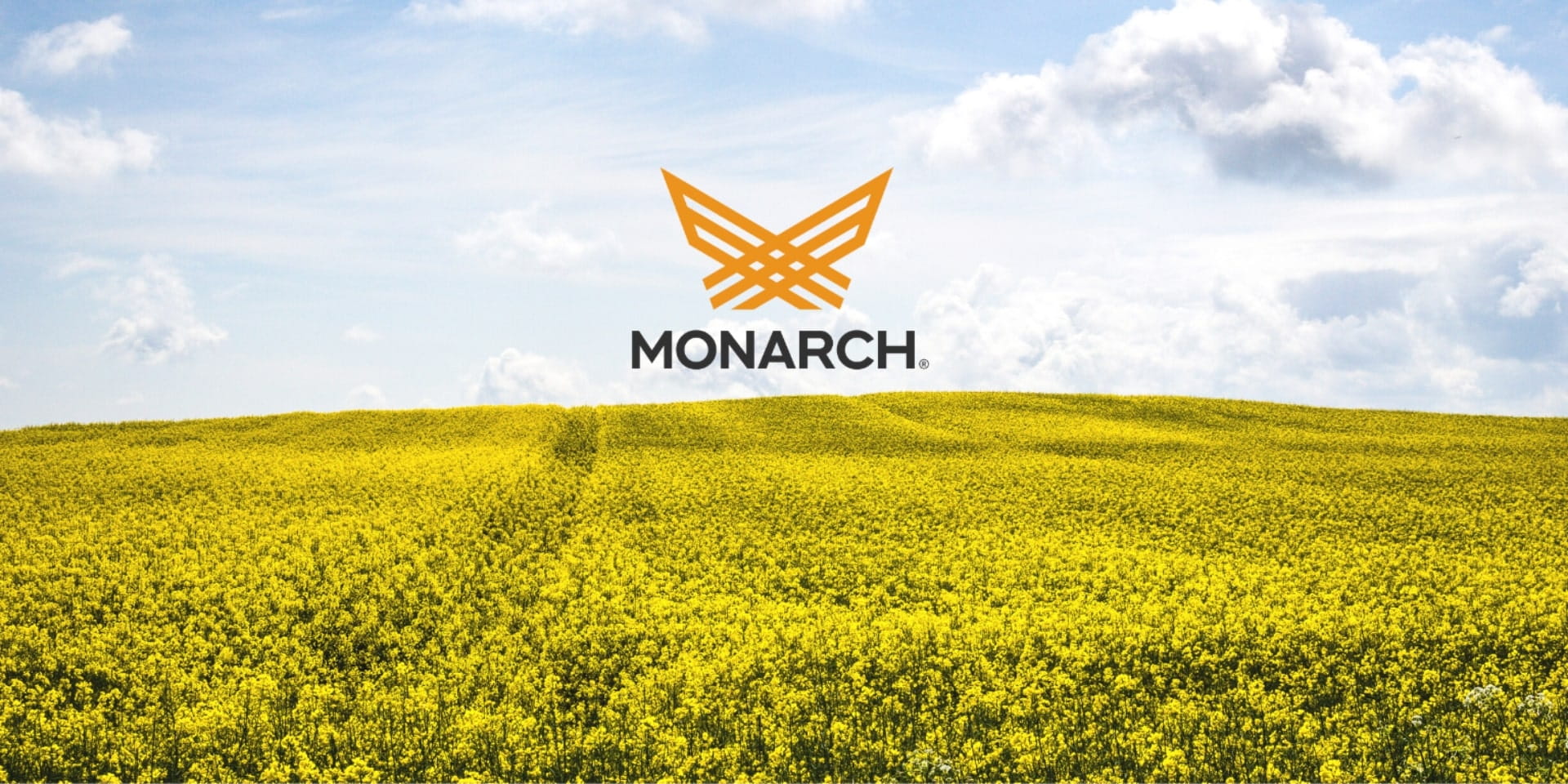 What’s In the Monarch Name and Logo?